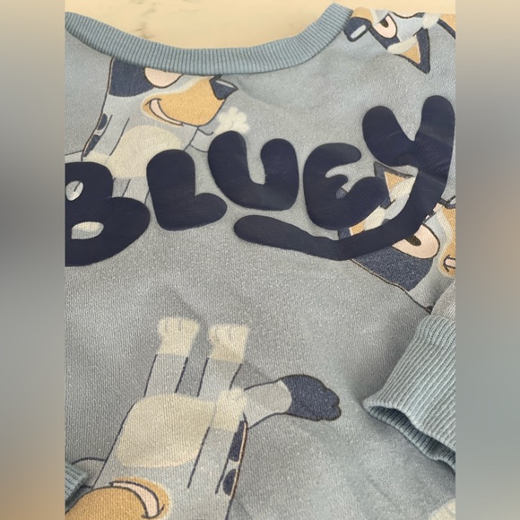 4T BLUEY Sweatshirt + Sweatpants Matching Outfit - Picture 4 of 4